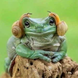 Meet your Posher, Sandy